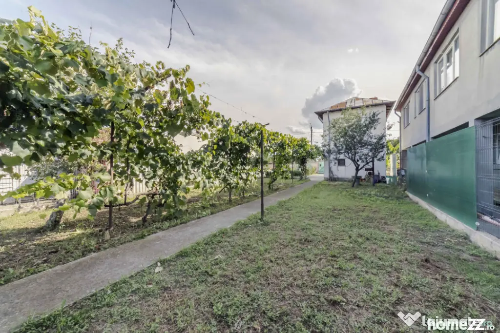 Tartasesti,str. Principala, 3040 mp teren, P+1, casa 1998, d