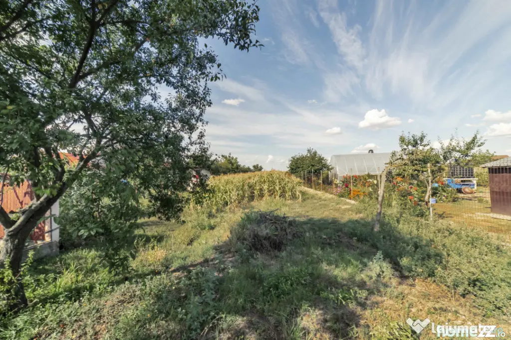 Tartasesti,str. Principala, 3040 mp teren, P+1, casa 1998, d