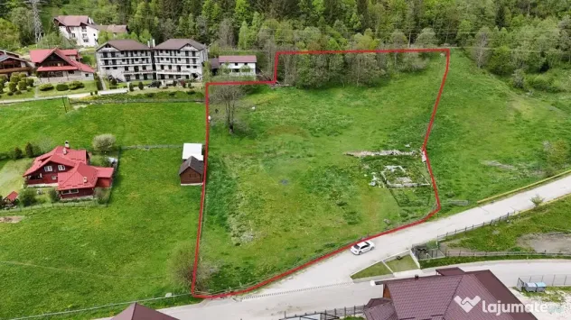 Intravilan | 10.000 mp| Sătic-Rucăr | Acces facil | Pot...