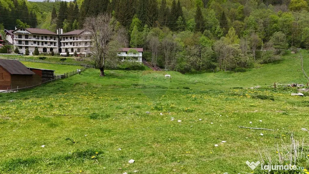 Intravilan | 10.000 mp| Sătic-Rucăr | Acces facil | Pot...