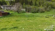 Intravilan | 10.000 mp| Sătic-Rucăr | Acces facil | Pot...