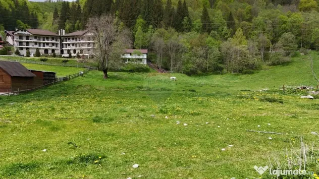 Intravilan | 10.000 mp| Sătic-Rucăr | Acces facil | Pot...