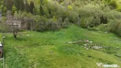 Intravilan | 10.000 mp| Sătic-Rucăr | Acces facil | Pot... 