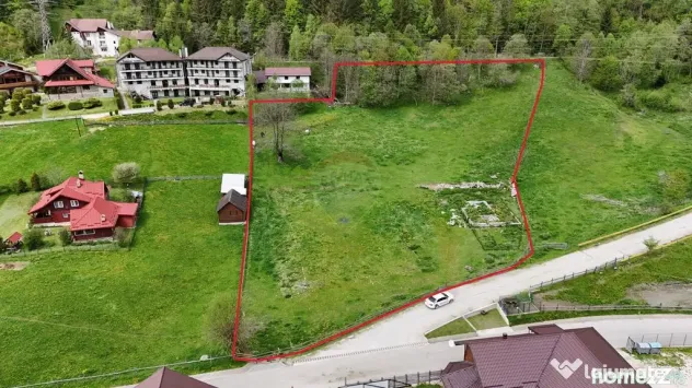 Intravilan | 10.000 mp| Sătic-Rucăr | Acces facil | Pot...