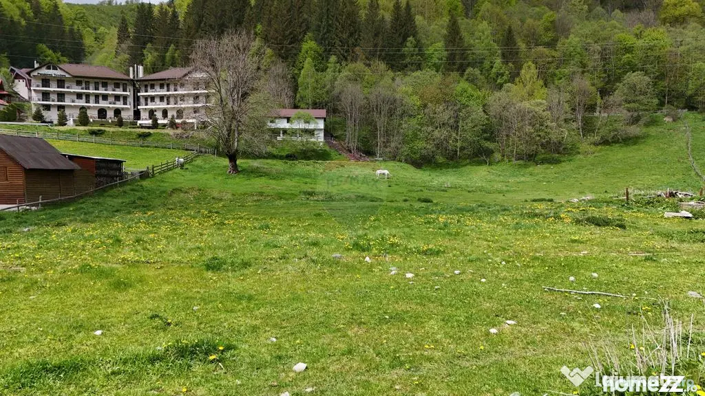 Intravilan | 10.000 mp| Sătic-Rucăr | Acces facil | Pot...