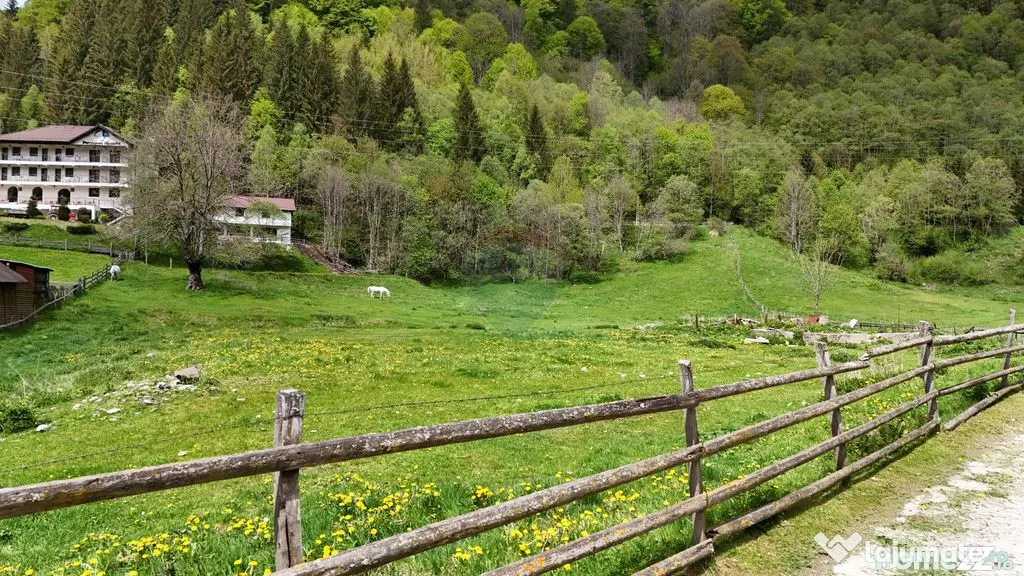 Intravilan | 10.000 mp| Sătic-Rucăr | Acces facil | Pot...
