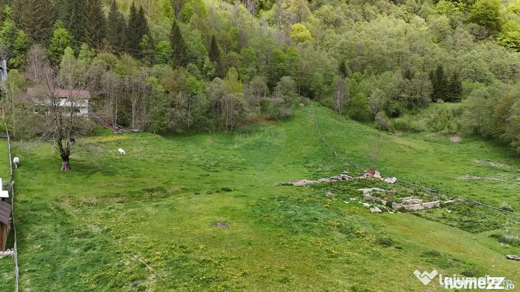 Intravilan | 10.000 mp| Sătic-Rucăr | Acces facil | Pot...