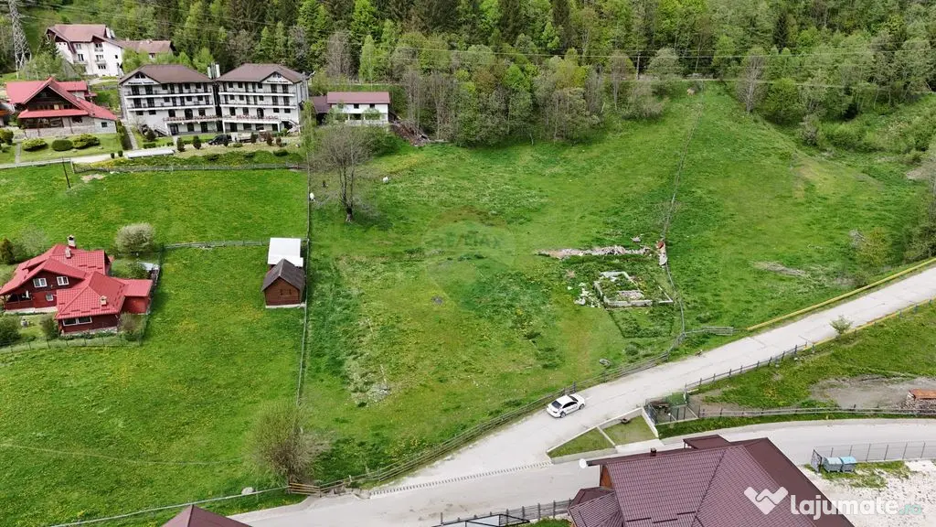 Intravilan | 10.000 mp| Sătic-Rucăr | Acces facil | Pot...