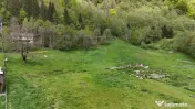 Intravilan | 10.000 mp| Sătic-Rucăr | Acces facil | Pot...