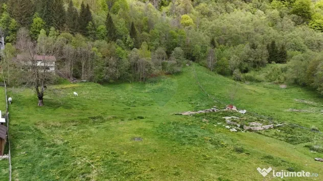 Intravilan | 10.000 mp| Sătic-Rucăr | Acces facil | Pot...