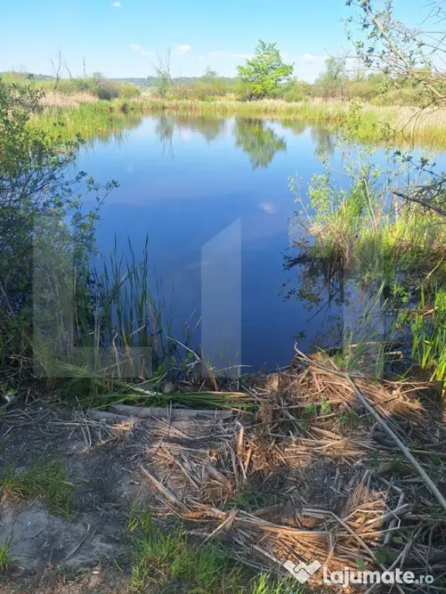 Teren de vanzare, 1600 mp, iesire la lacul Surduc