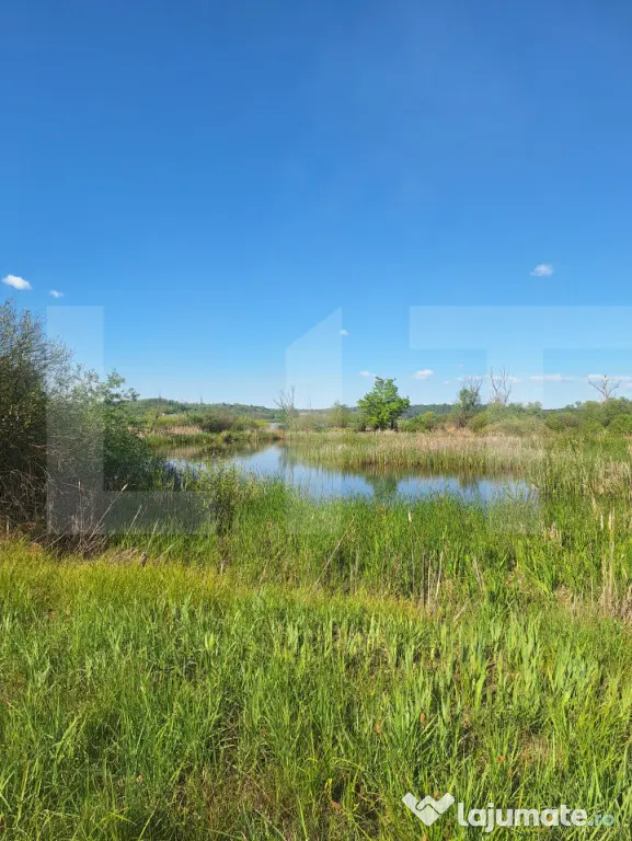 Teren de vanzare, 1600 mp, iesire la lacul Surduc