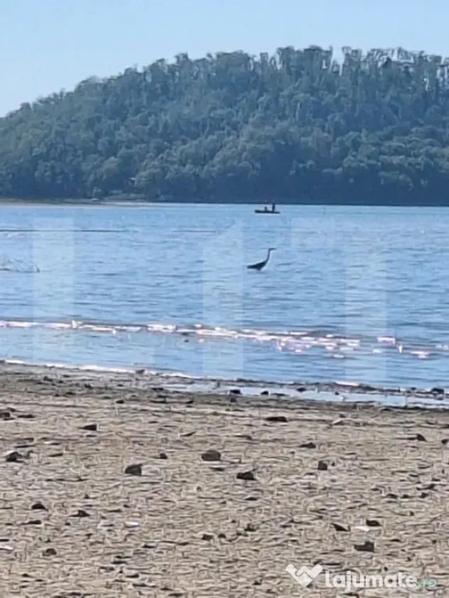 Teren de vanzare, 1600 mp, iesire la lacul Surduc