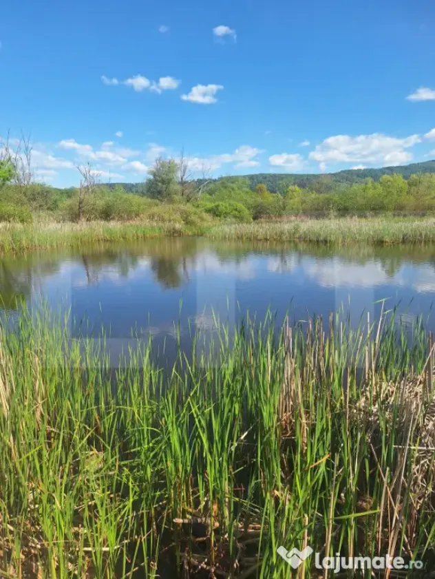 Teren de vanzare, 1600 mp, iesire la lacul Surduc
