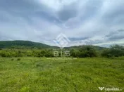 Teren extravilan de vânzare – Valea Rusului | 30 ari 