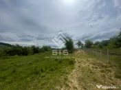 Teren extravilan de vânzare – Valea Rusului | 30 ari 