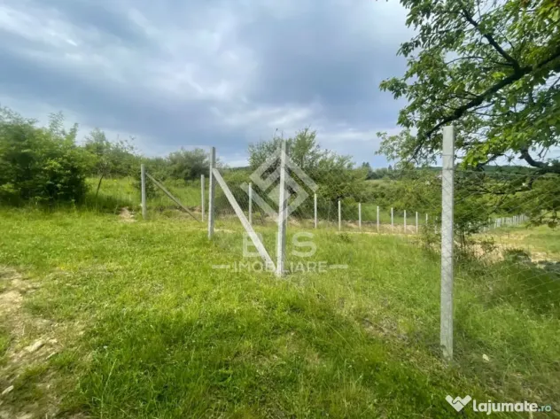 Teren extravilan de vânzare – Valea Rusului | 30 ari