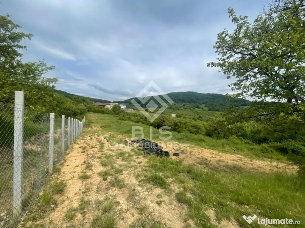 Teren extravilan de vânzare – Valea Rusului | 30 ari