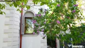 Vila superba Cotroceni 
