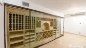 Vila superba Cotroceni 