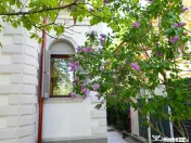 Vila superba Cotroceni 