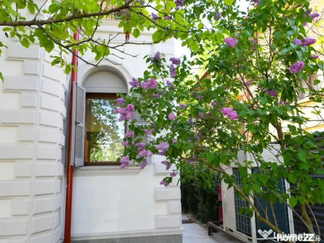 Vila superba Cotroceni