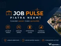 Job Pulse Piatra Neamt 