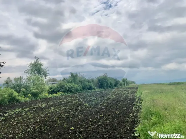 COMISION 0% | Teren intravilan 3250 mp | Stupini, str. Ca...