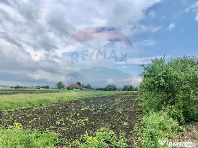 COMISION 0% | Teren intravilan 3250 mp | Stupini, str. Ca...