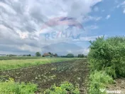 COMISION 0% | Teren intravilan 3250 mp | Stupini, str. Ca... 