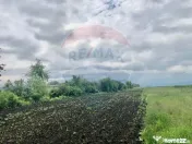 COMISION 0% | Teren intravilan 3250 mp | Stupini, str. Ca...