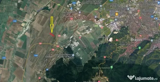Teren extravilan arabil, 9650 mp, Cristian
