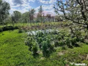 Casă langa Fagaras cu teren de 1836mp si parau in spatel... 