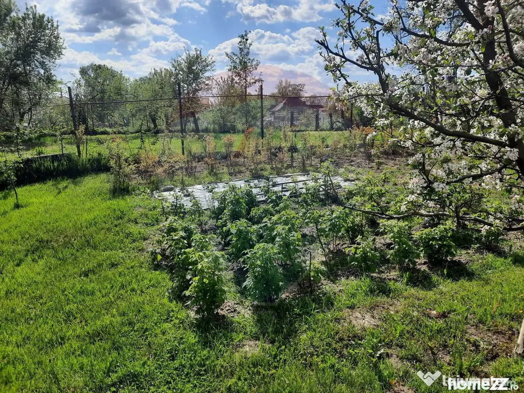 Casă langa Fagaras cu teren de 1836mp si parau in spatel...