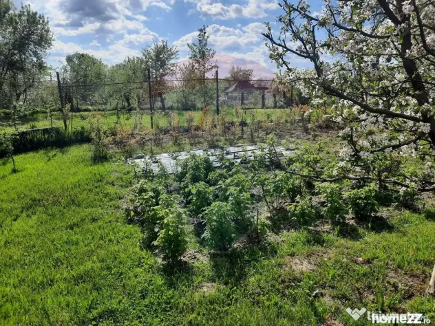 Casă langa Fagaras cu teren de 1836mp si parau in spatel...