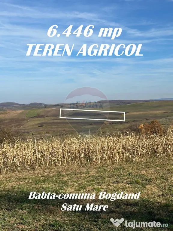 TEREN AGRICOL - BONUS o CASA