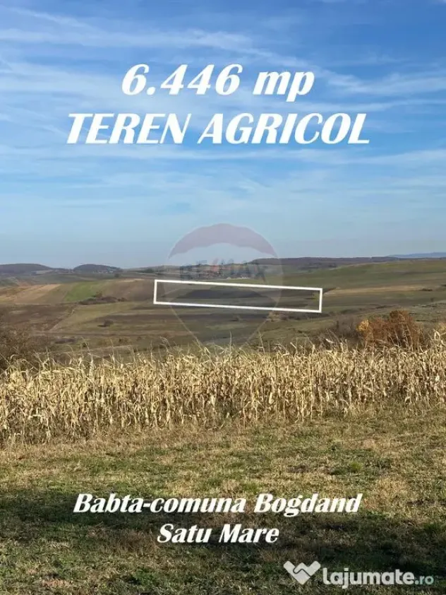 TEREN AGRICOL - BONUS o CASA
