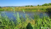 Teren de 6000mp, vizavi de gara din Filiasi cu balta cu pest