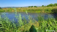 Teren de 6000mp, vizavi de gara din Filiasi cu balta cu pest 