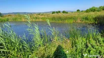 Teren de 6000 mp, vizavi de gara din Filiasi