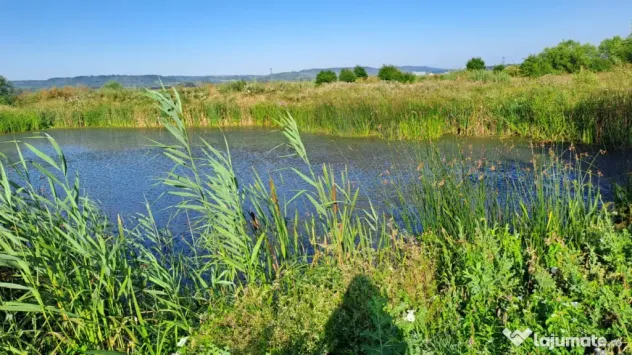 Teren de 6000mp, vizavi de gara din Filiasi cu balta cu pest