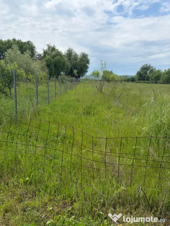 Teren de 6000mp, vizavi de gara din Filiasi cu balta cu pest