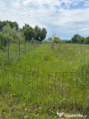 Teren de 6000mp, vizavi de gara din Filiasi cu balta cu pest