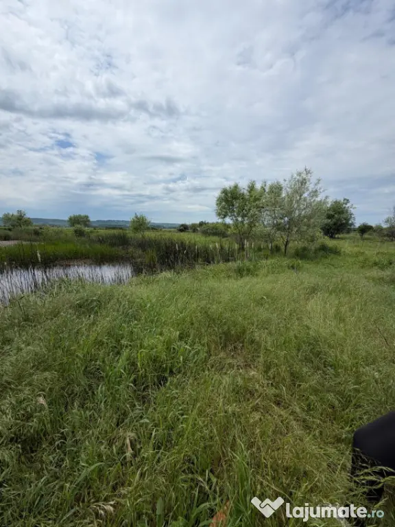 Teren de 6000mp, vizavi de gara din Filiasi cu balta cu pest