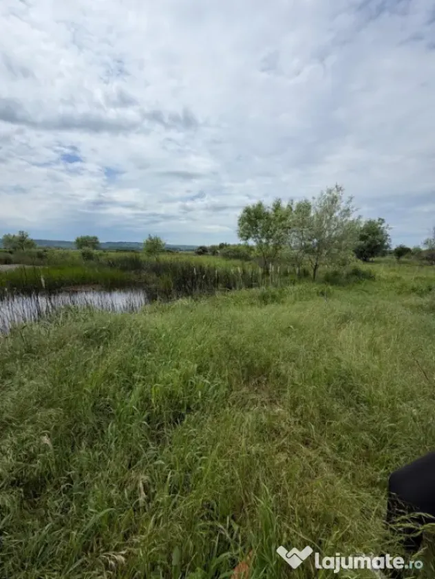 Teren de 6000mp, vizavi de gara din Filiasi cu balta cu pest