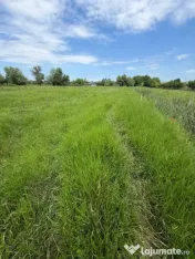Teren de 6000mp, vizavi de gara din Filiasi cu balta cu pest