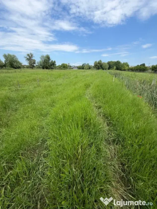 Teren de 6000mp, vizavi de gara din Filiasi cu balta cu pest