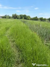 Teren de 6000mp, vizavi de gara din Filiasi cu balta cu pest