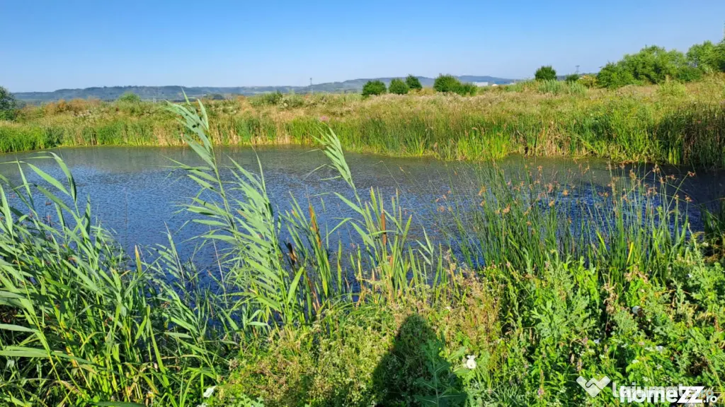 Teren de 6000 mp, vizavi de gara din Filiasi - Craiova (Dolj)