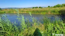 Teren de 6000 mp, vizavi de gara din Filiasi